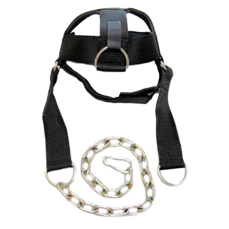 Head Harness